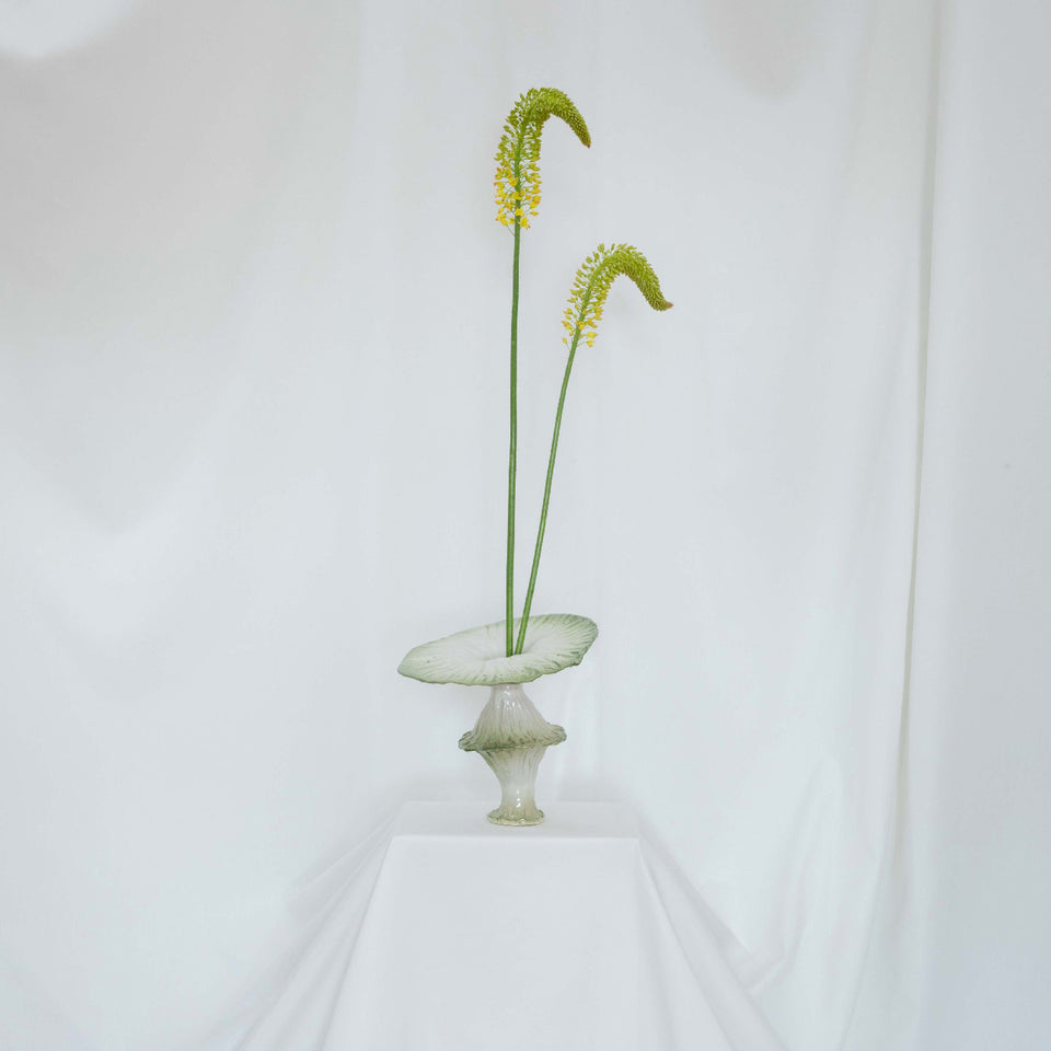 Vase Blowing Spore
